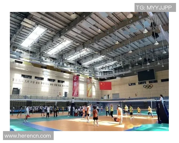 广州排球队个人能力提升引发热议探讨排球新发展